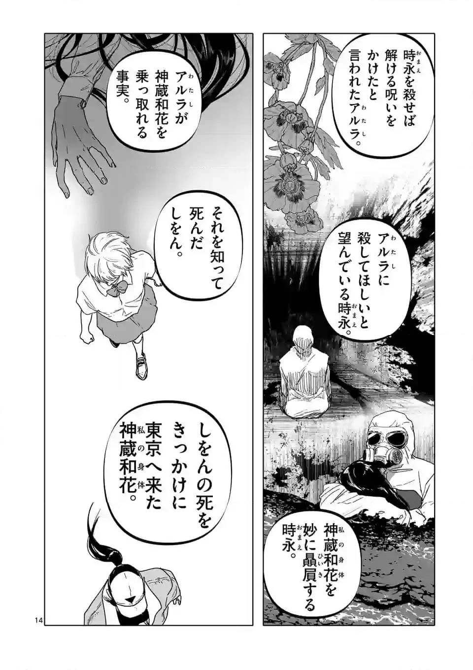 Page 13
