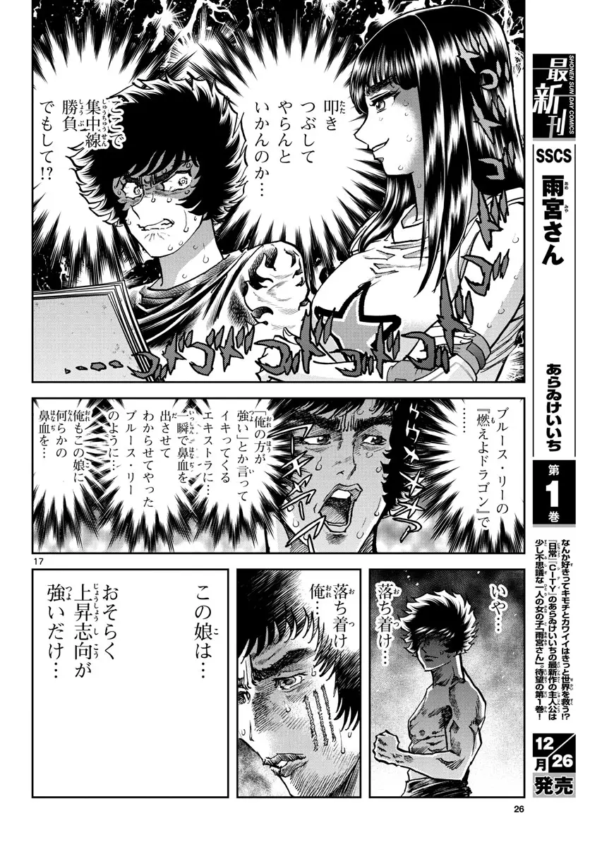Page 17