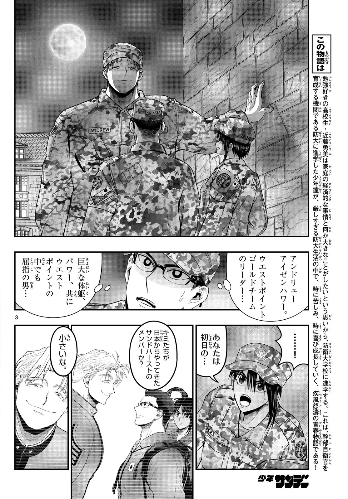 Page 3