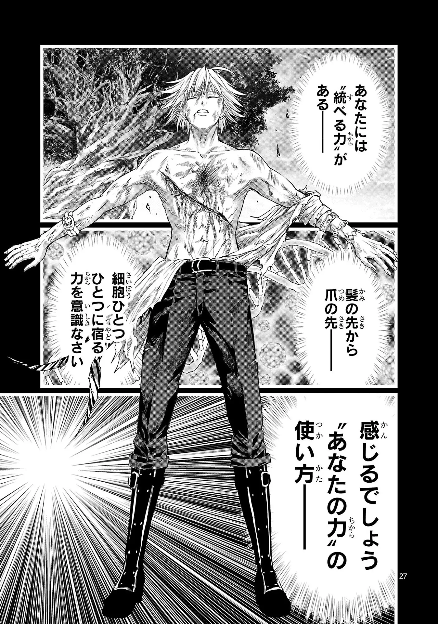 Page 27