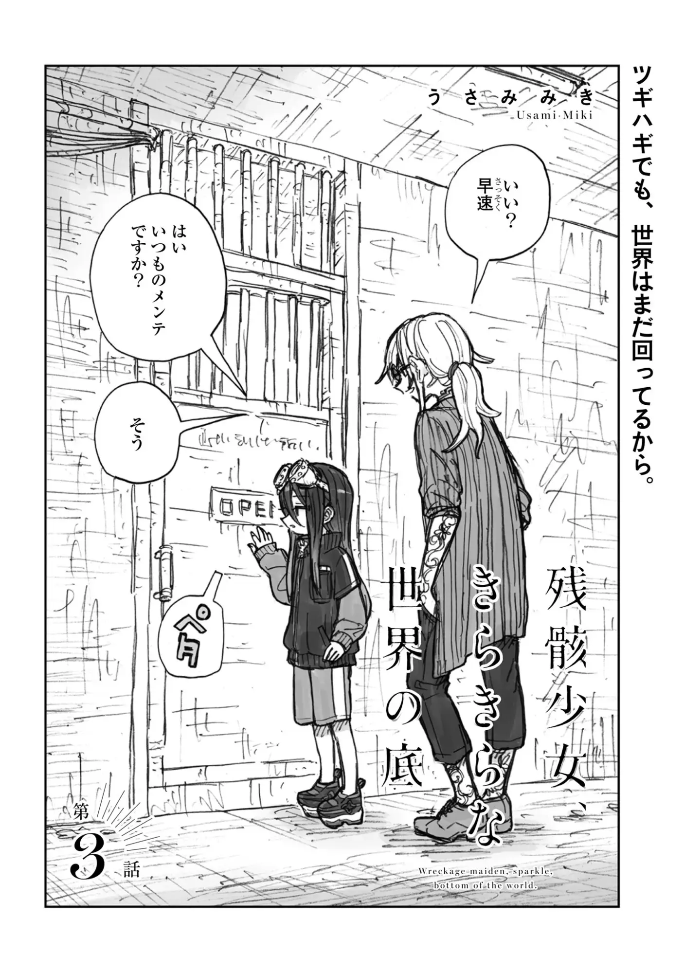 Page 3