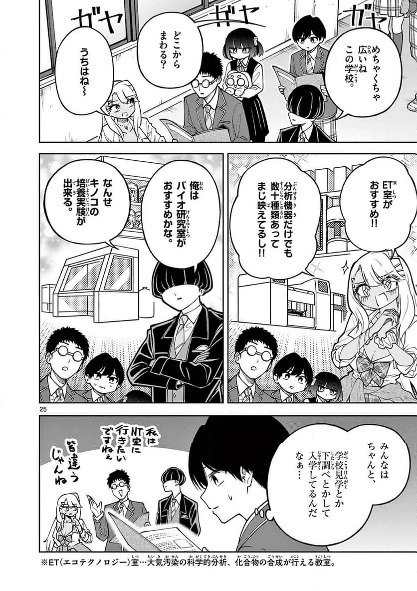Page 25