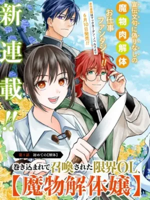巻き込まれて召喚された限界OL、ギルド所属の【魔物解体嬢】として奮闘中~THE~COMIC