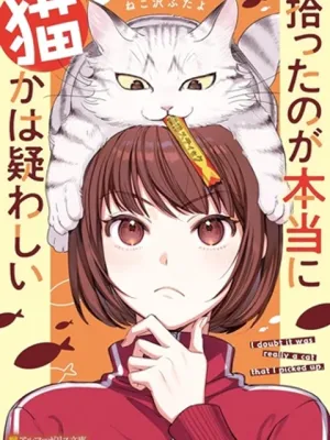 拾ったのが本当に猫かは疑わしい