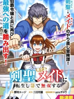 最強の剣聖、美少女メイドに転生し箒で無双する