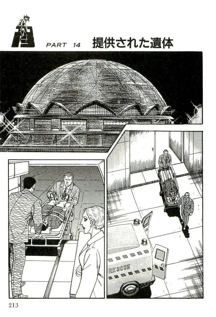 Page 213