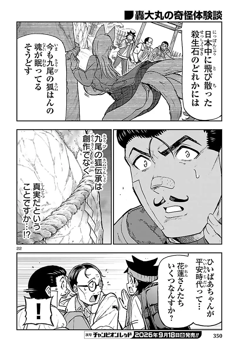 Page 22