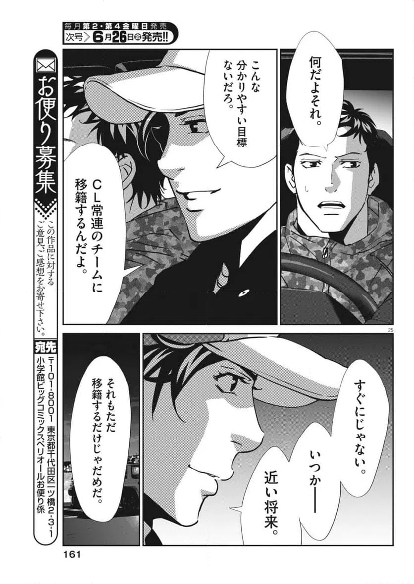 Page 25