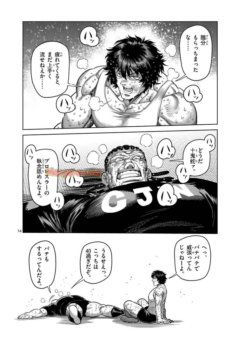 Page 13