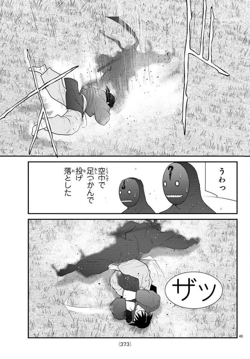 Page 43