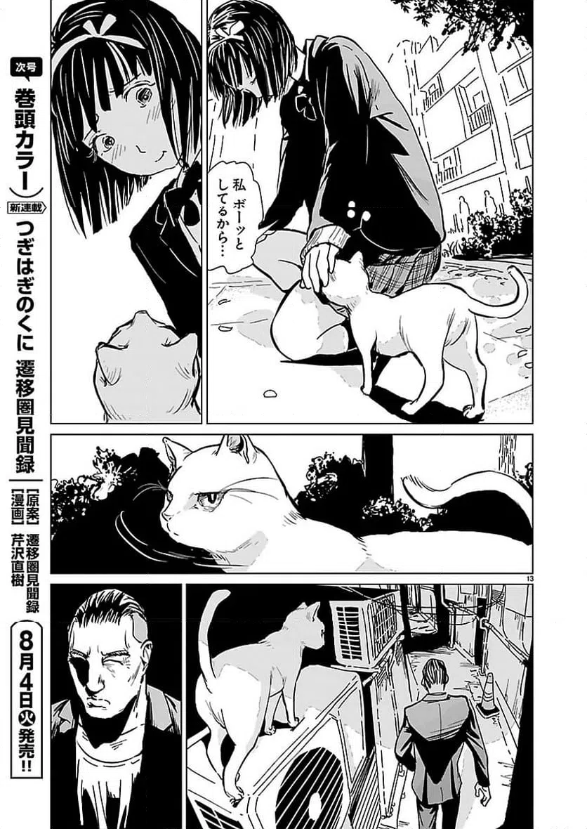 Page 13