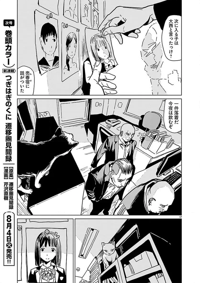 Page 17