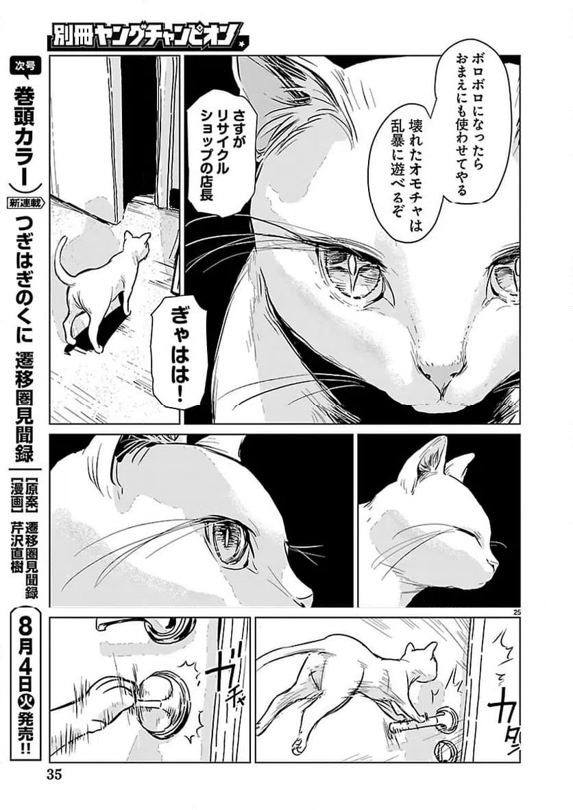 Page 25