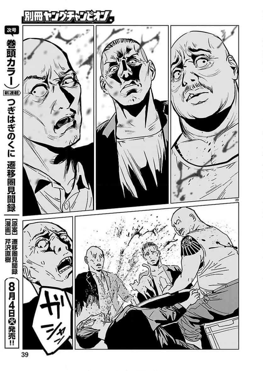Page 29