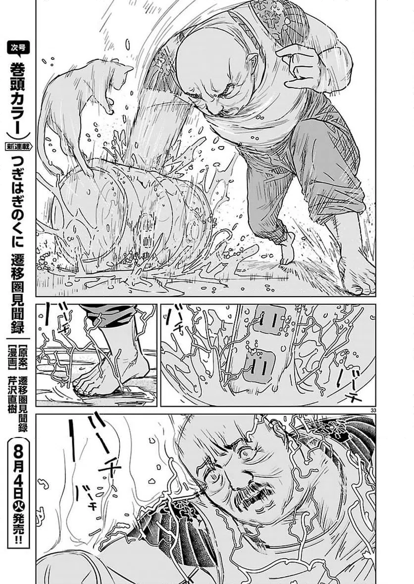Page 33