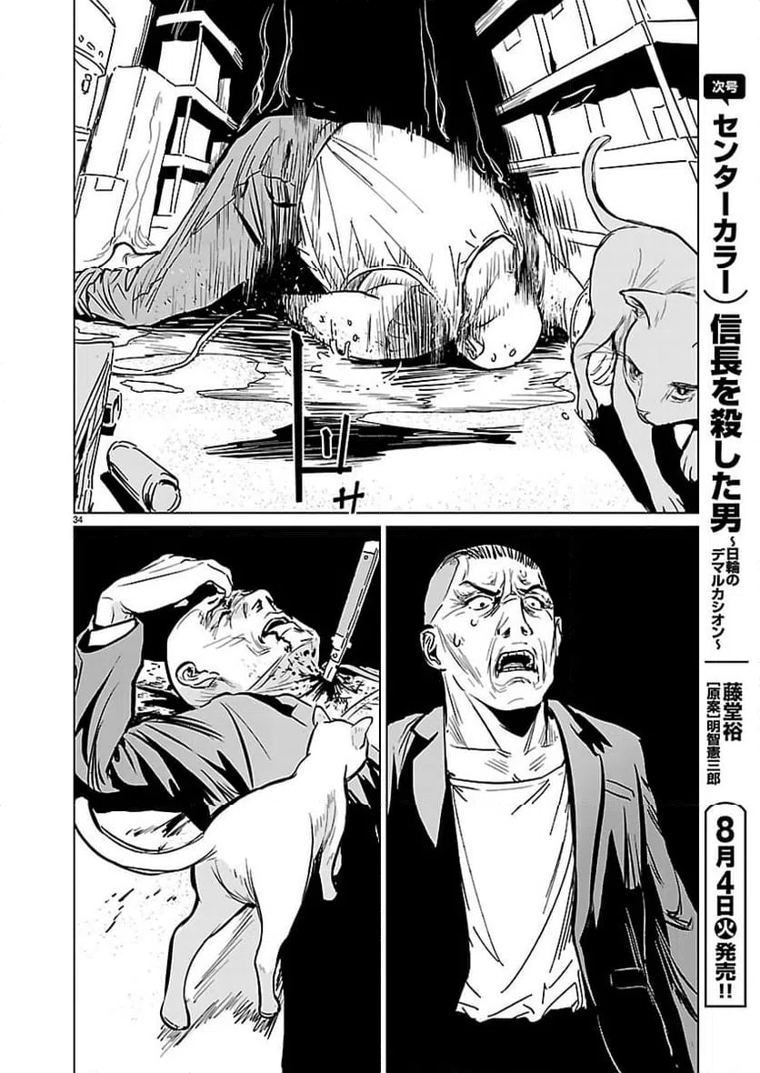 Page 34