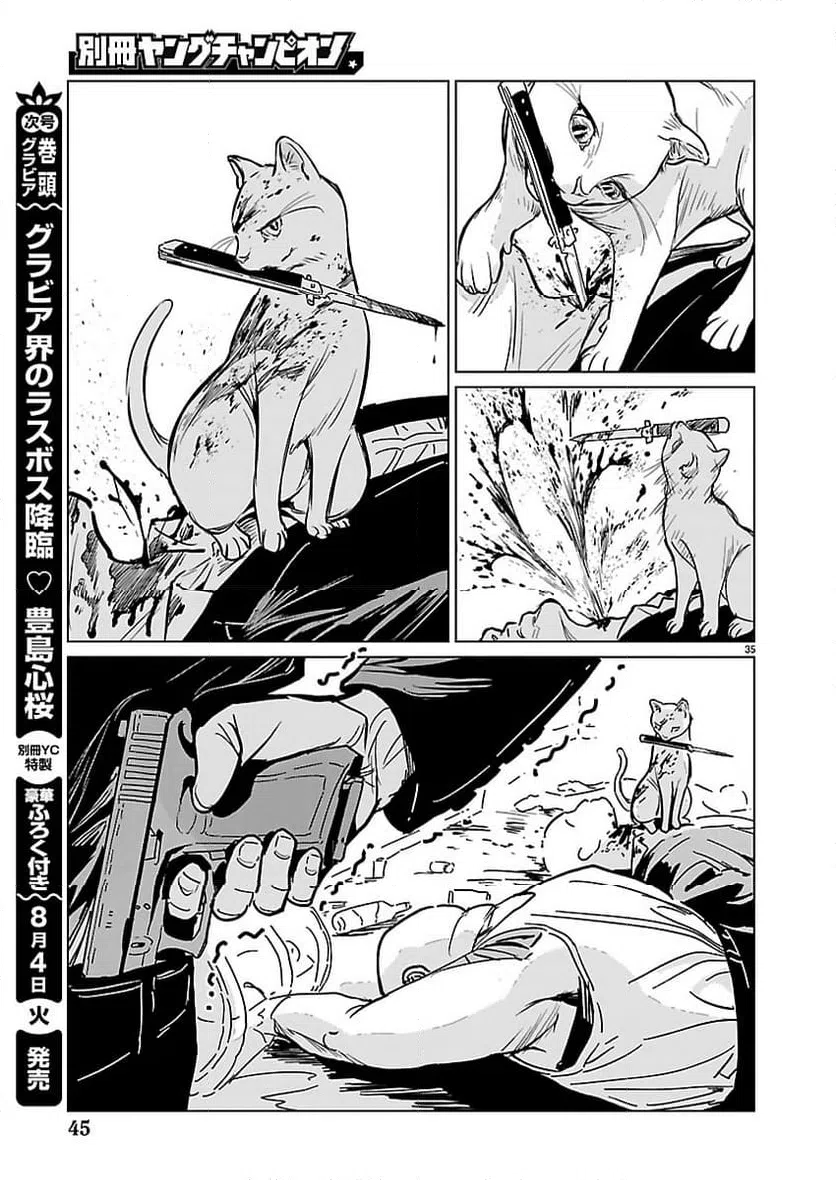 Page 35