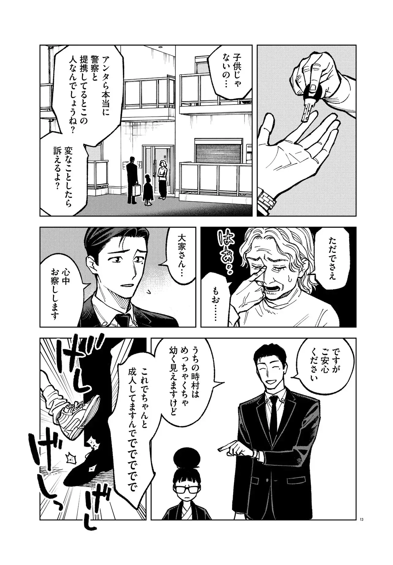 Page 13