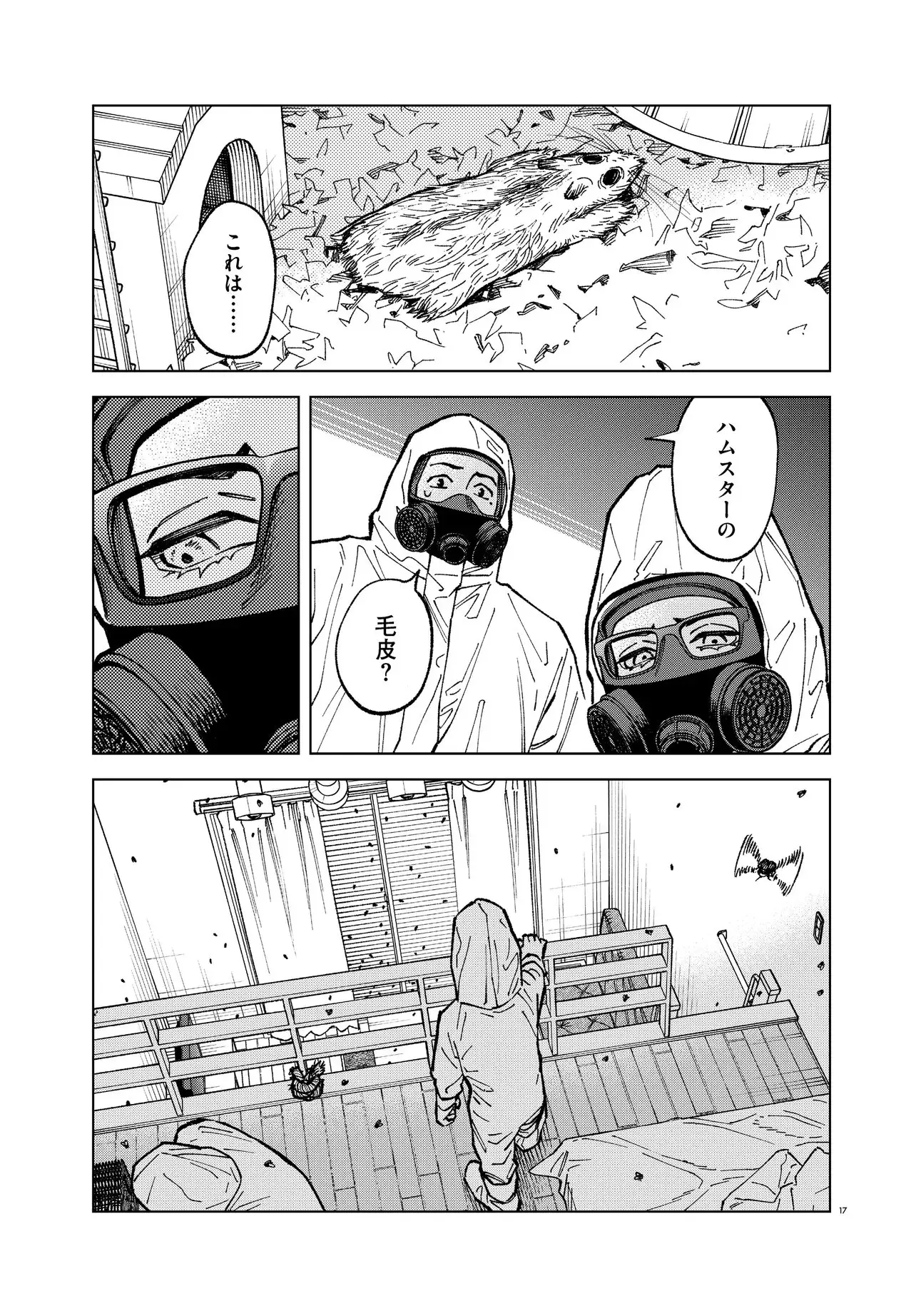Page 17