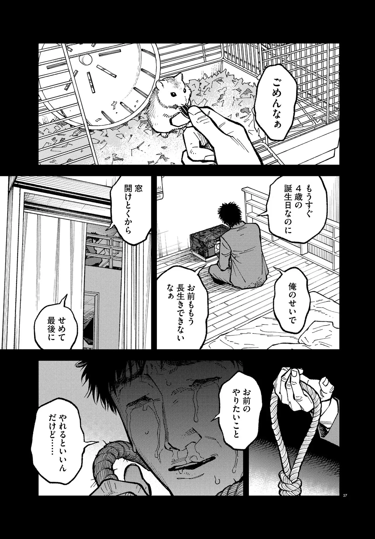 Page 27