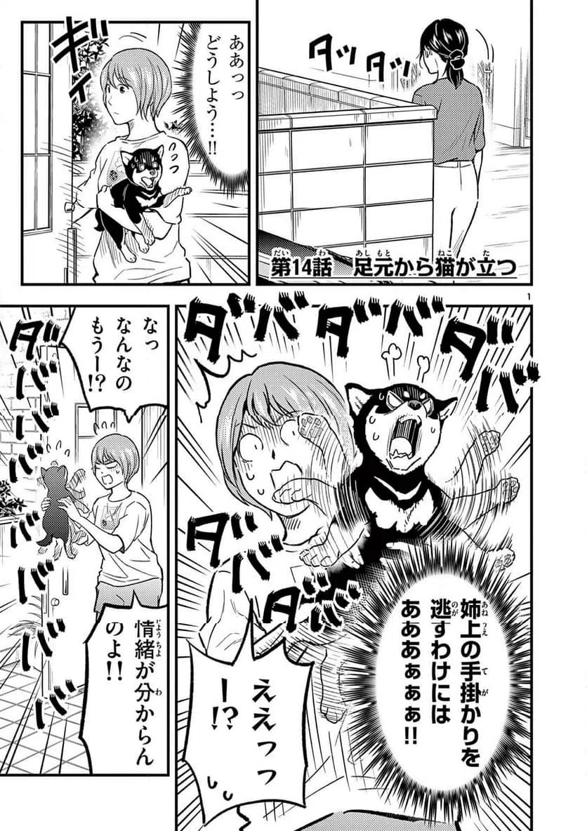 Page 0