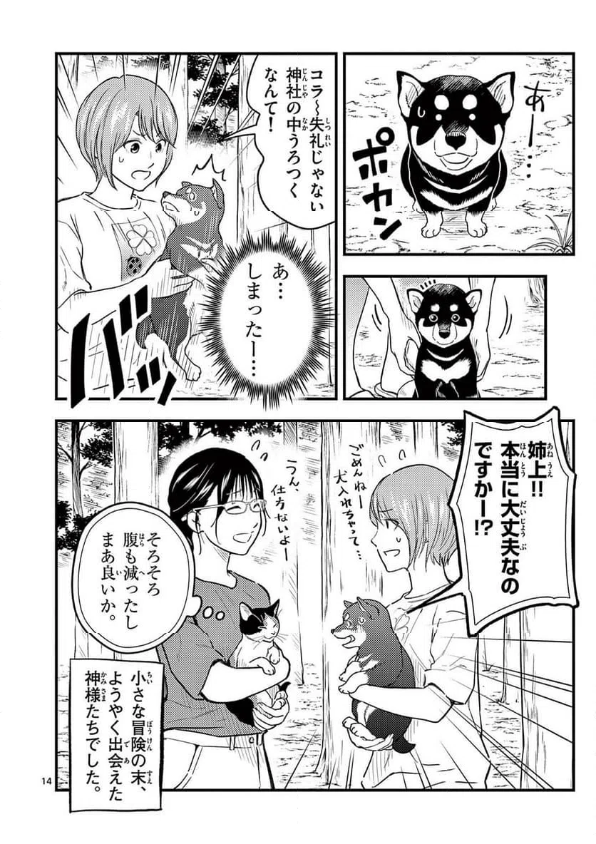 Page 13