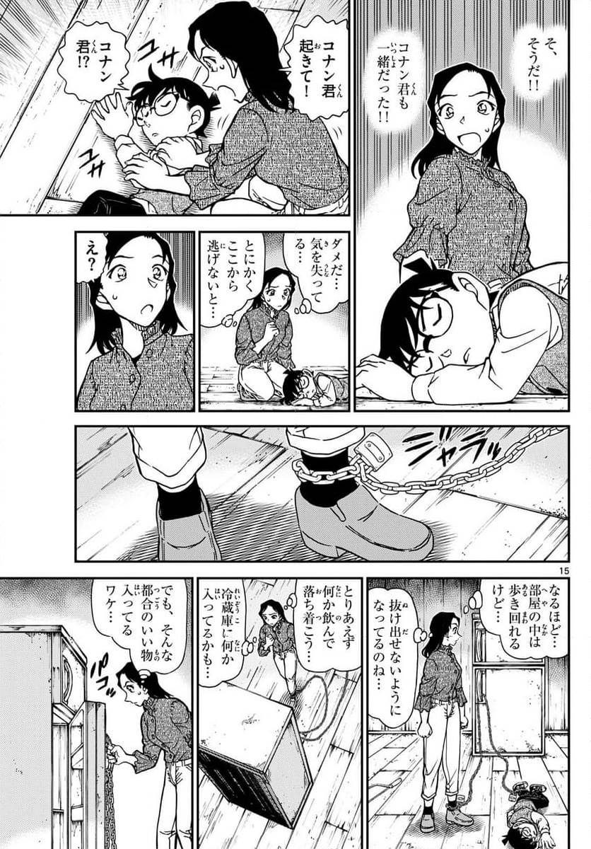 Page 15