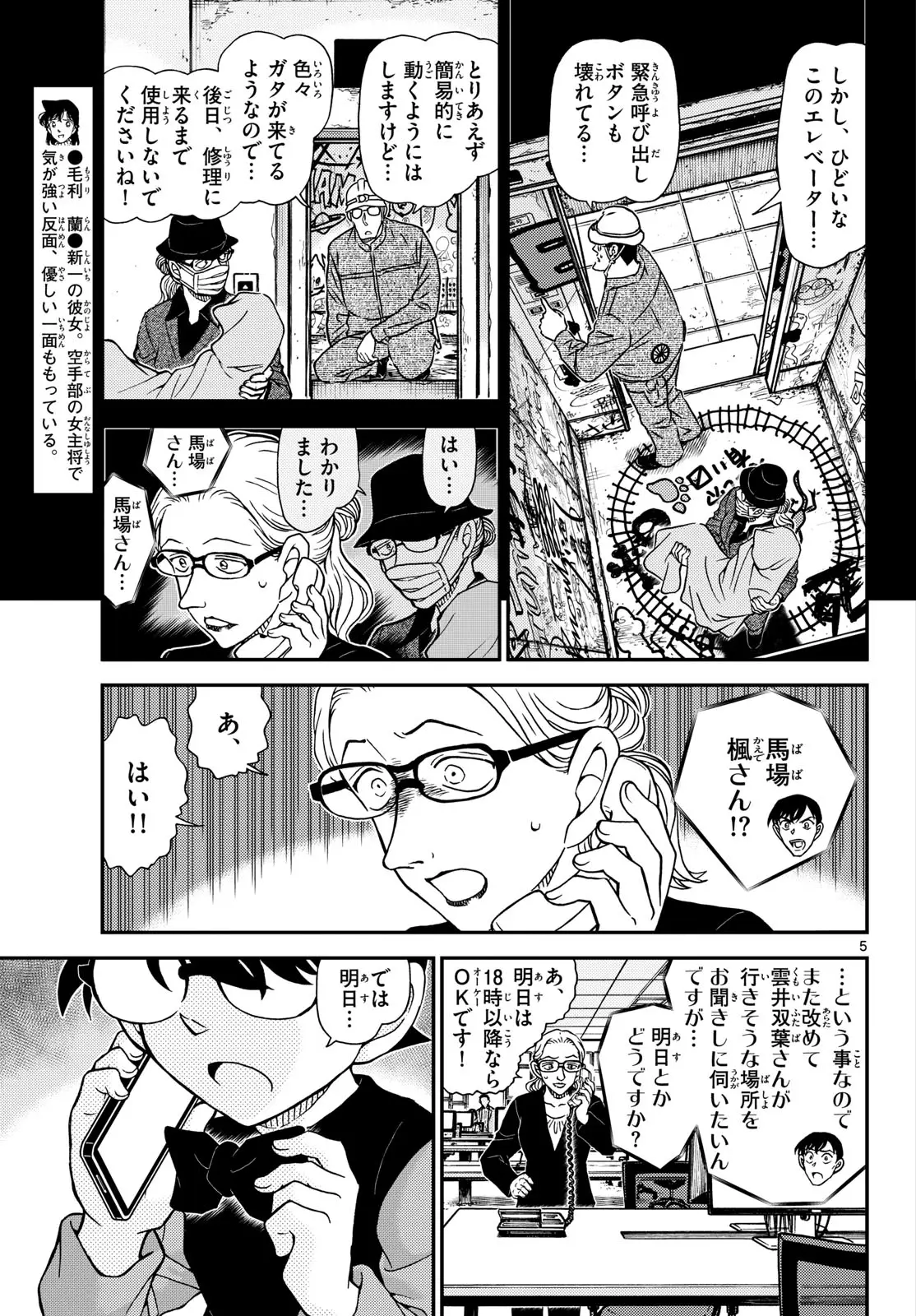 Page 5