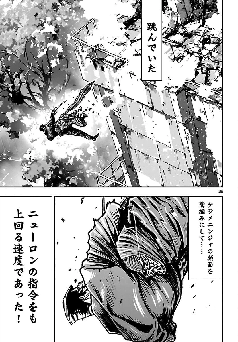 Page 25