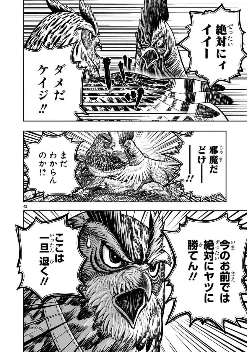 Page 41