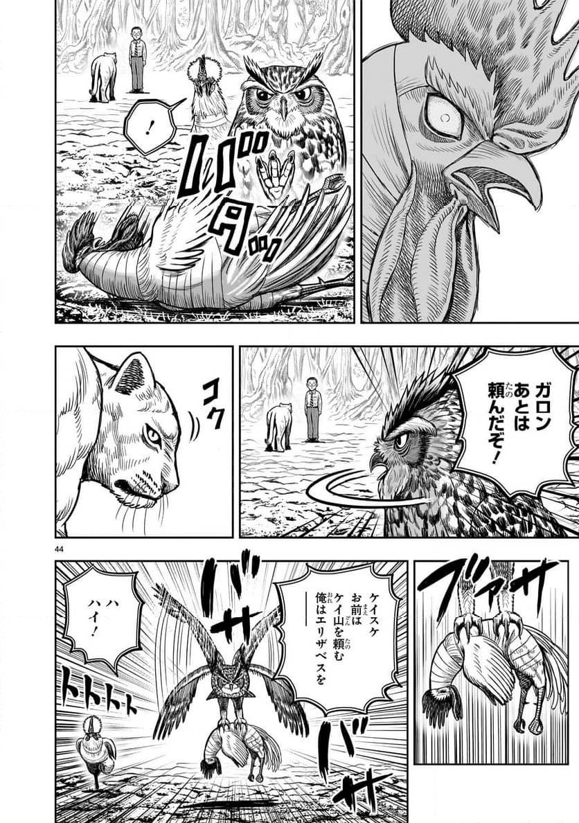 Page 43
