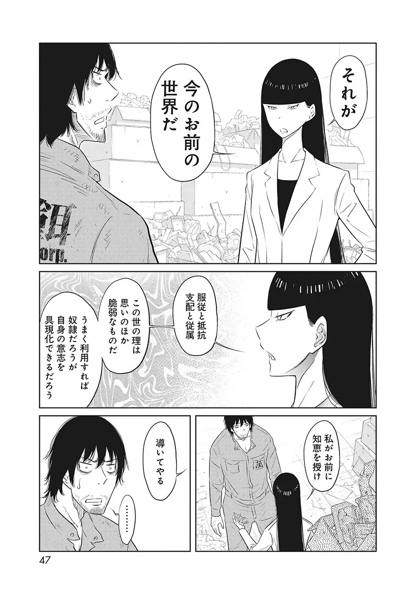 Page 43