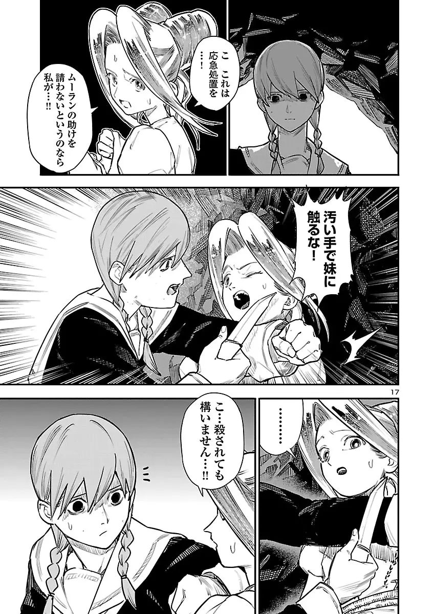 Page 17