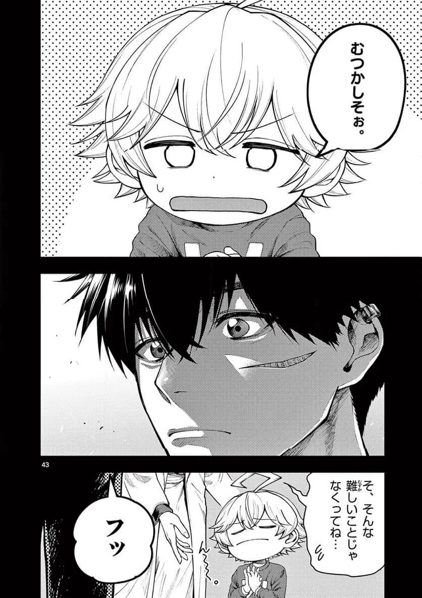 Page 43