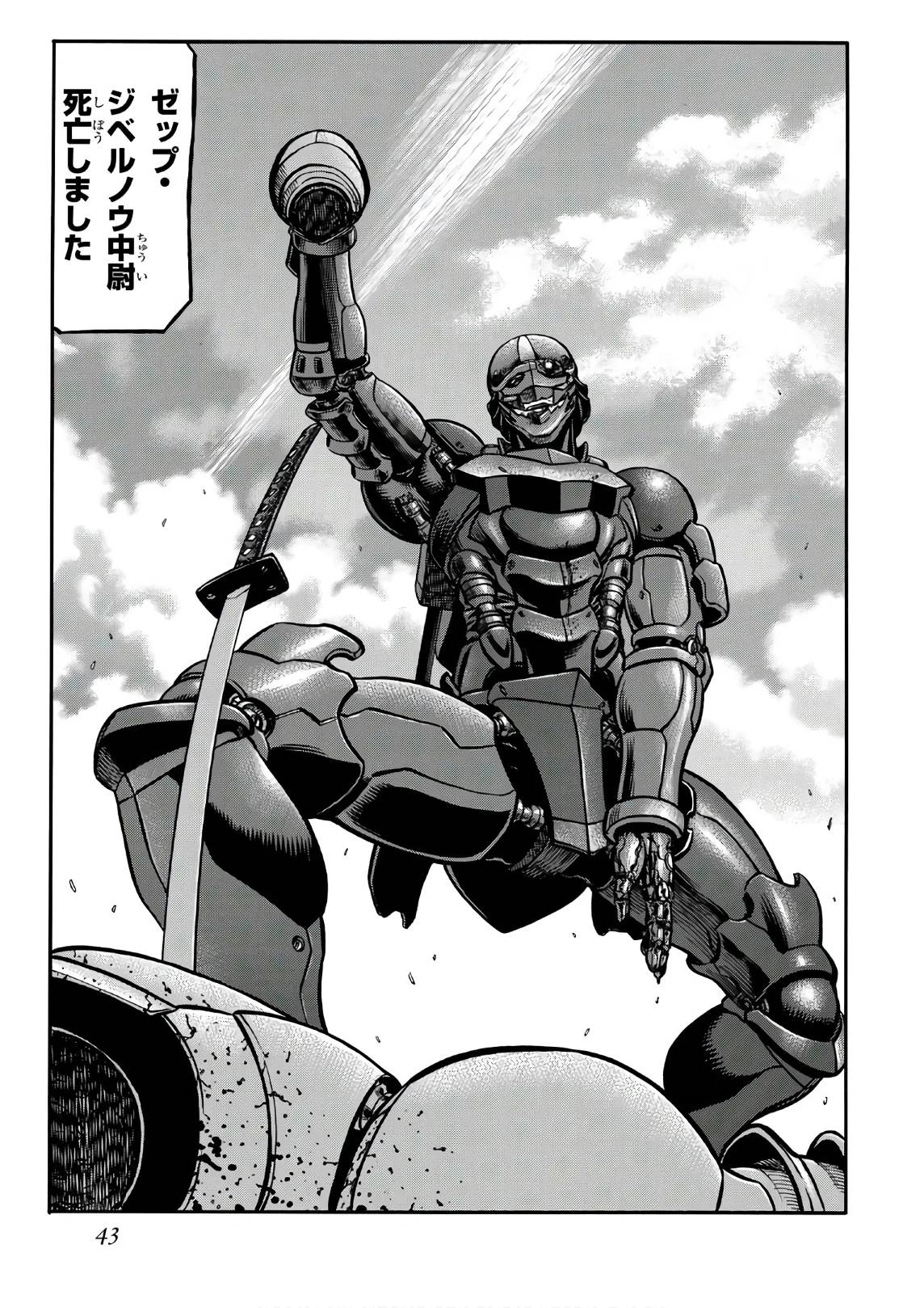 Page 43