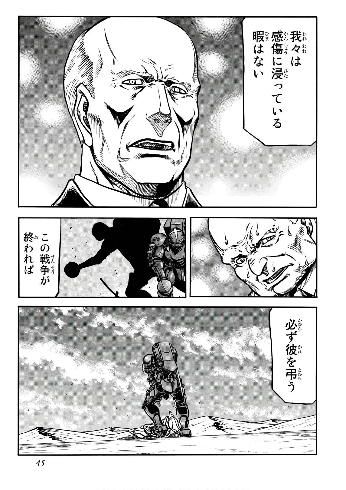 Page 45