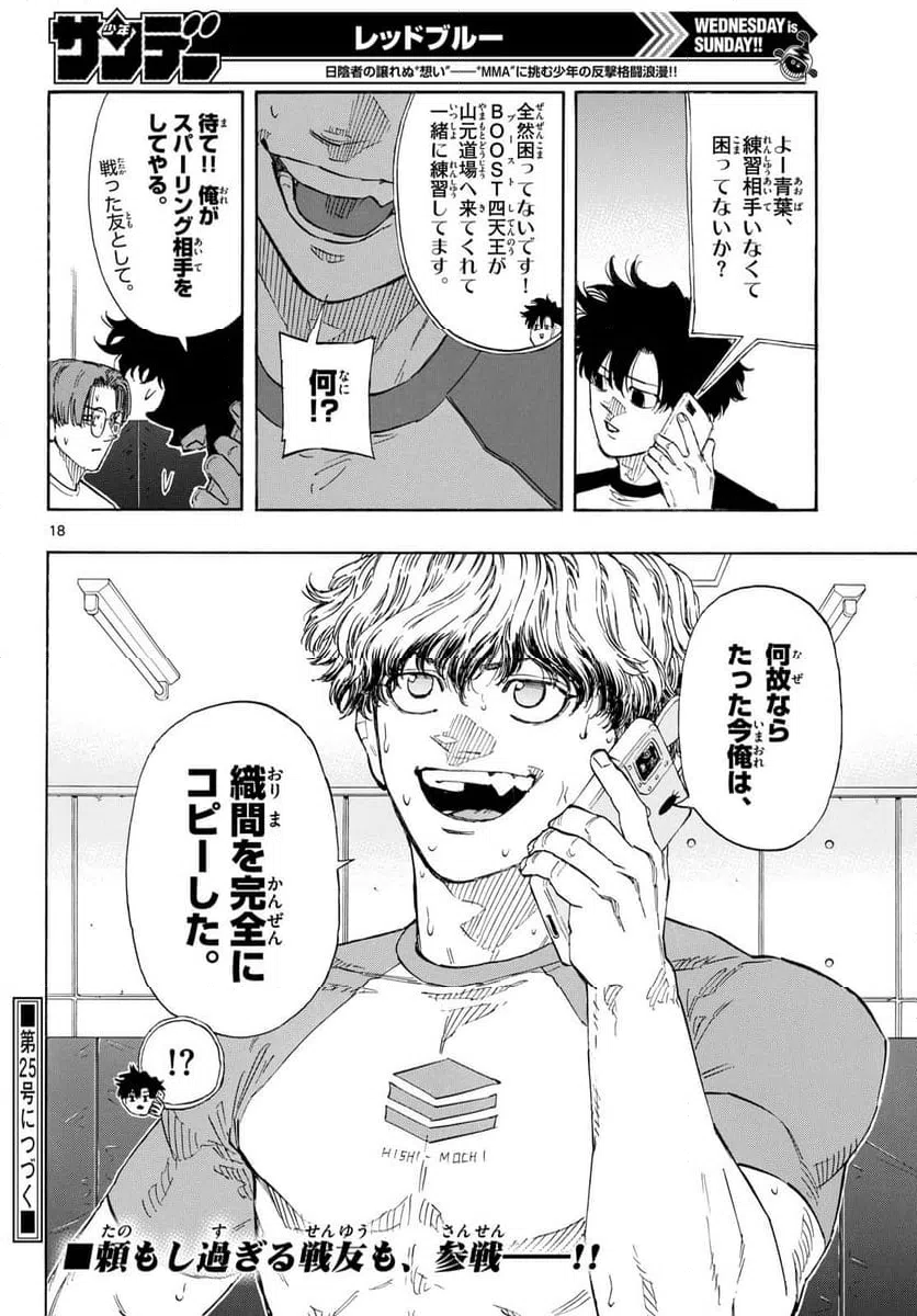 Page 17