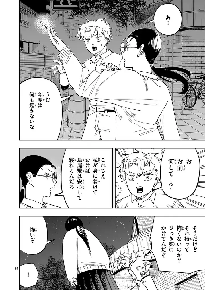 Page 14