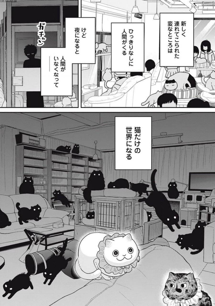 Page 0