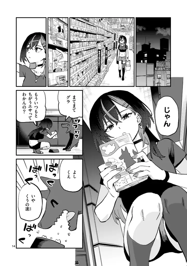 Page 13