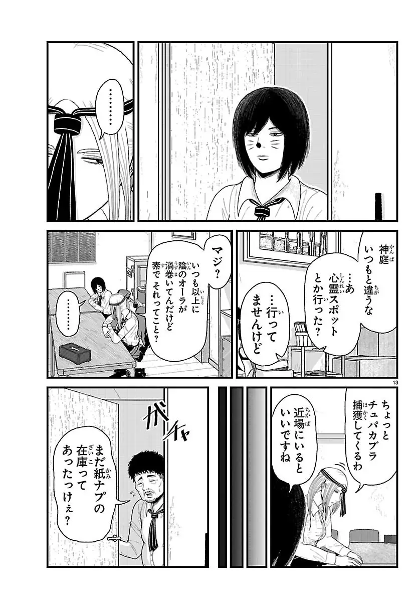 Page 13