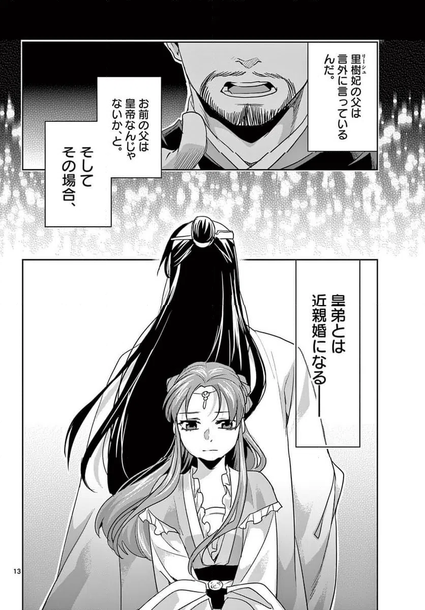 Page 13
