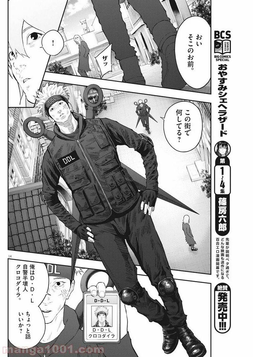 Page 13